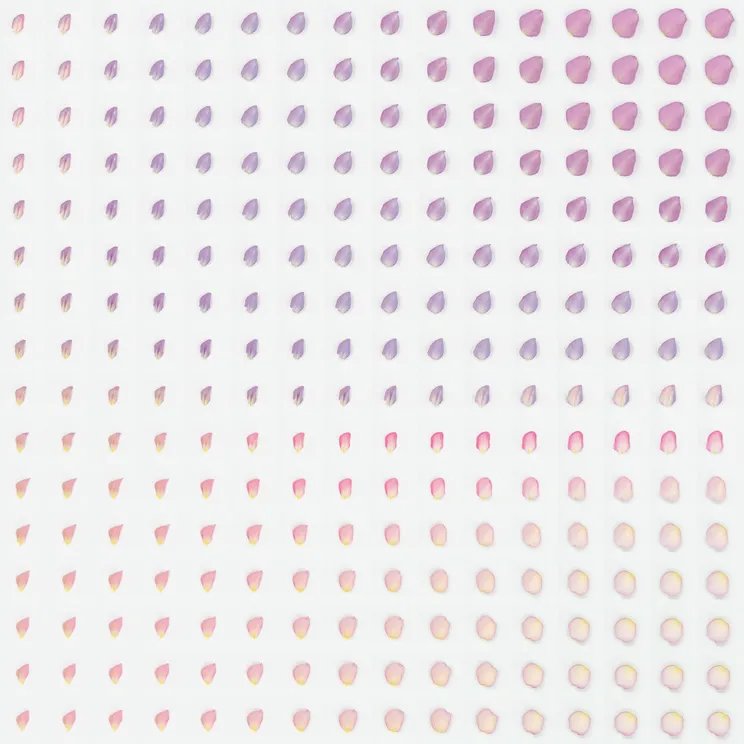 Sarah Meyohas - Improved GAN petals